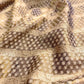 Brown Pure Soft Tissue Stripe Heritage Design Handloom Banarasi Saree