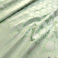 Pastel Green Pure Katan Silk Star Geometrical Design Silver Zari Handloom Banarasi Saree